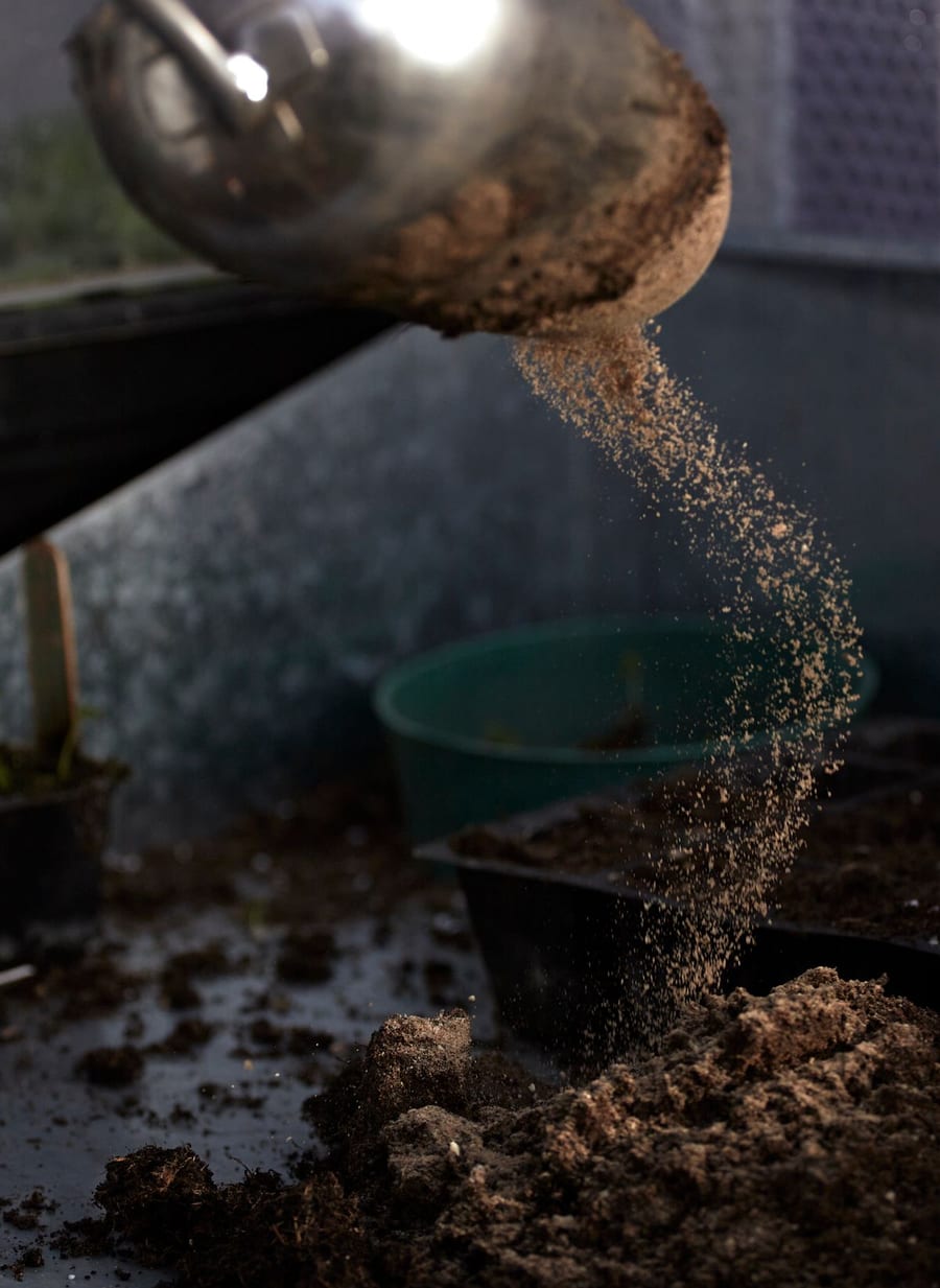 Soil being poured into a gardening pot
