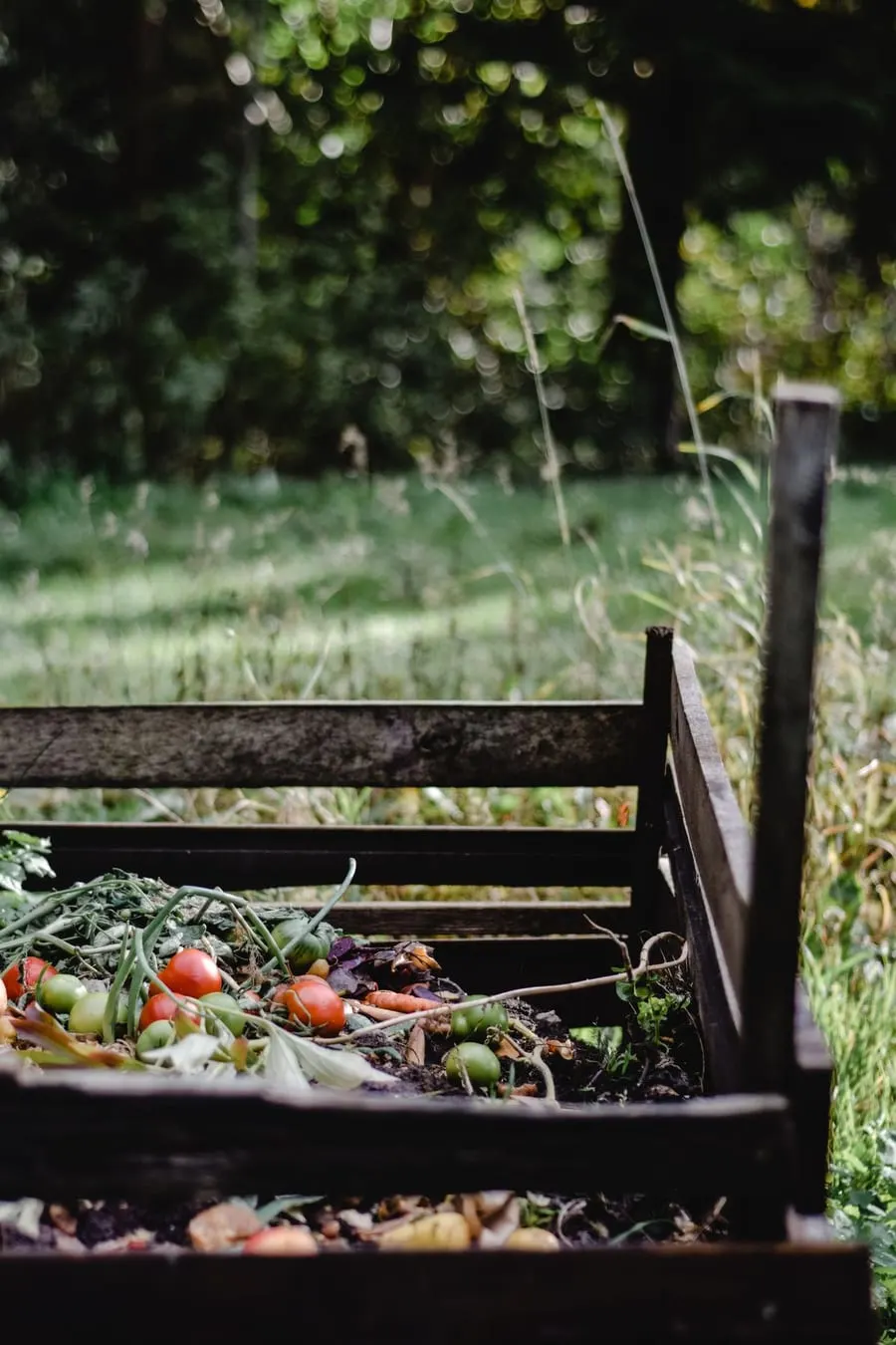 Wooden compost bin filled with kitchen and garden scraps, including tomatoes and carrots