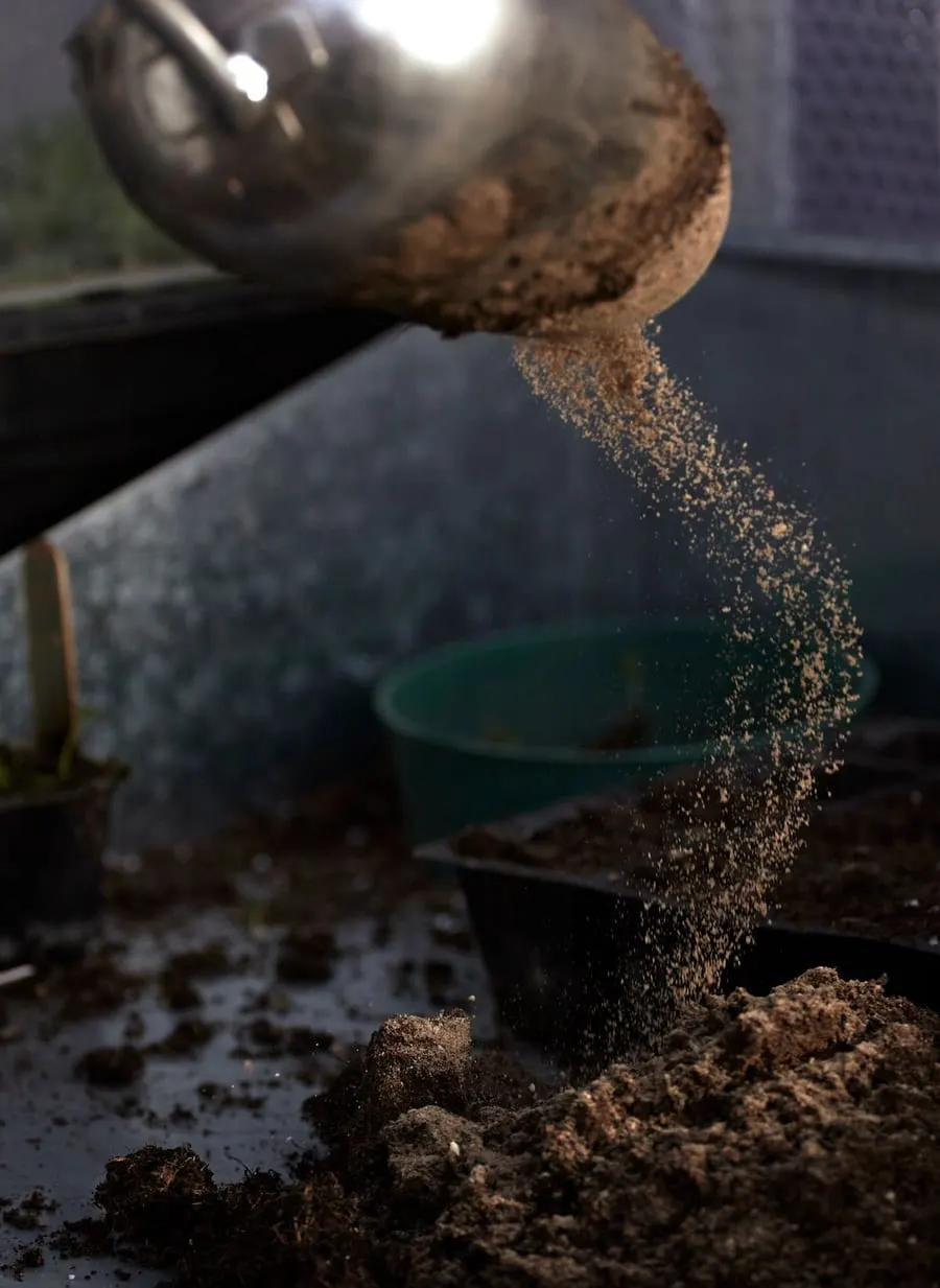 Soil being poured into a gardening pot